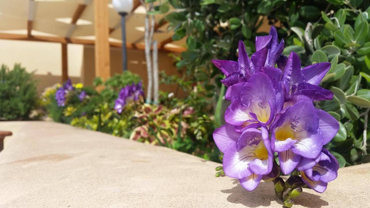 Baglio Cudia Resort Марсала Екстер'єр фото